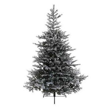 Load image into Gallery viewer, Everlands Snowy Grandis Fir Christmas Tree 6ft/180cm
