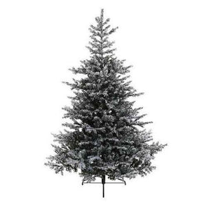 Everlands Snowy Grandis Fir Christmas Tree 6ft/180cm