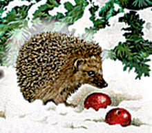 Load image into Gallery viewer, Coppenrath Vintage Style Christmas Railway Advent Calendar
