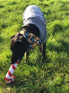 Christmas Gingerbread Dog Bandana