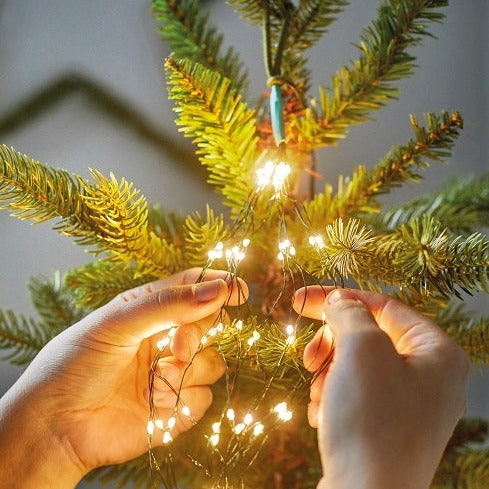 Lumineo Warm White Silver Cable Christmas Tree Lights 210cm