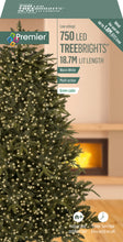Load image into Gallery viewer, Premier TreeBrights 750 Warm White LED Christmas String Lights
