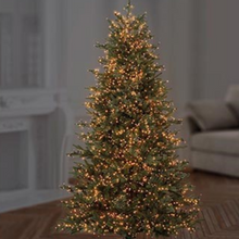 Load image into Gallery viewer, Premier TreeBrights 1500 Vintage Gold LED Christmas String Lights
