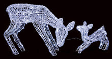 Load image into Gallery viewer, Premier Mother and Baby Soft Acrylic Deer with White LED Lights

