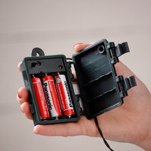 Load image into Gallery viewer, Festive 100 Red Berry Battery Operated Christmas String Lights
