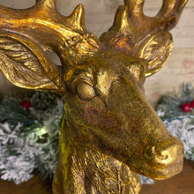 Load image into Gallery viewer, Gold Stag Head Candelabra 30cm
