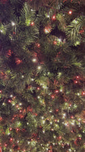 Load and play video in Gallery viewer, Festive 600 Winter Wishes Firefly Lights
