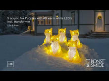 Load and play video in Gallery viewer, Konstsmide 5 Piece Acrylic Foxes LED Light Set
