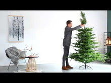 Load and play video in Gallery viewer, Kaemingk Snowy Grandis Fir Christmas Tree 7ft/210cm
