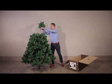 Load and play video in Gallery viewer, Kaemingk Arlberg Fir Pre Shaped Christmas Tree 7ft/210cm
