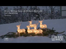 Load and play video in Gallery viewer, Konstsmide 5 Piece Acrylic Reindeer LED Set
