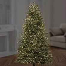 Load image into Gallery viewer, Premier TreeBrights 2000 Warm White LED Christmas String Lights
