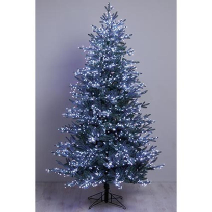 Premier Ultrabrights 1000 Large White LEDs