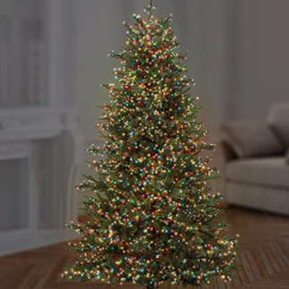 Premier TreeBrights 1000 Multi Coloured LED Christmas String Lights