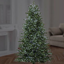 Load image into Gallery viewer, Premier TreeBrights 1000 White LED Christmas String Lights

